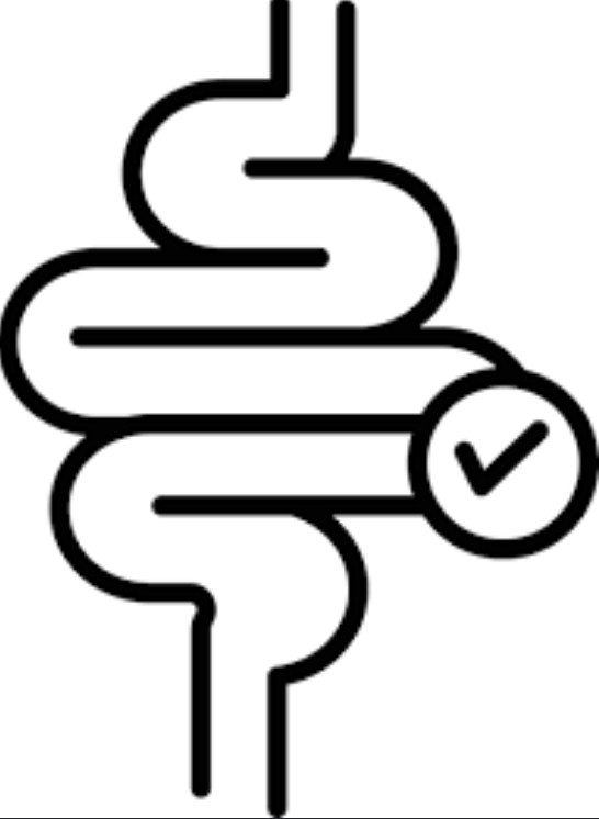 Gut Health Illustration