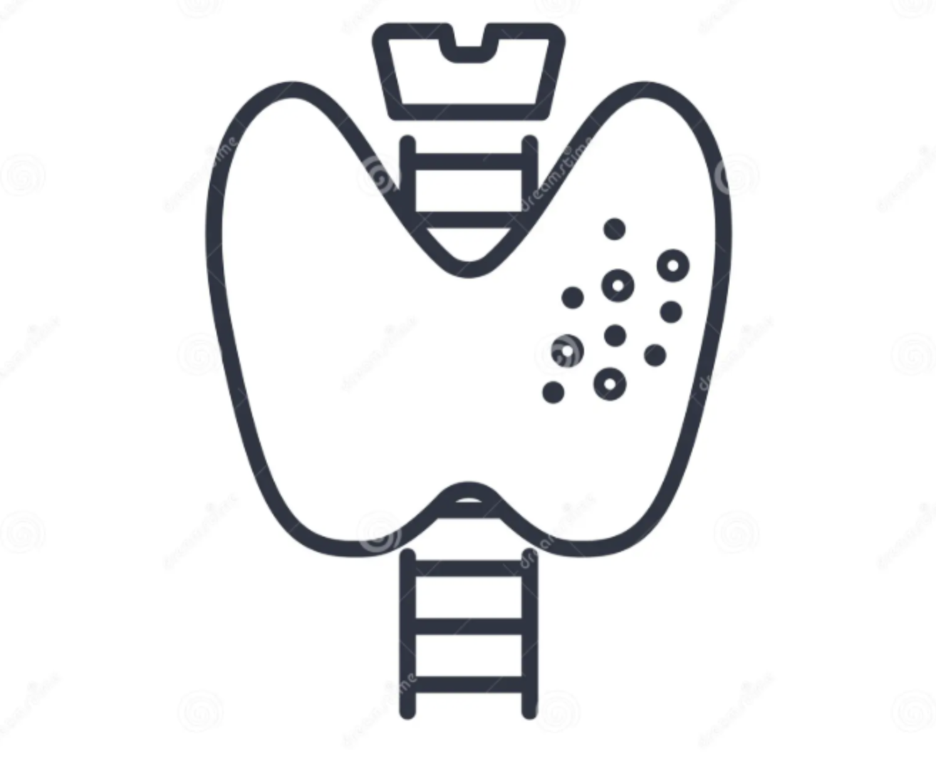 Thyroid Illustration
